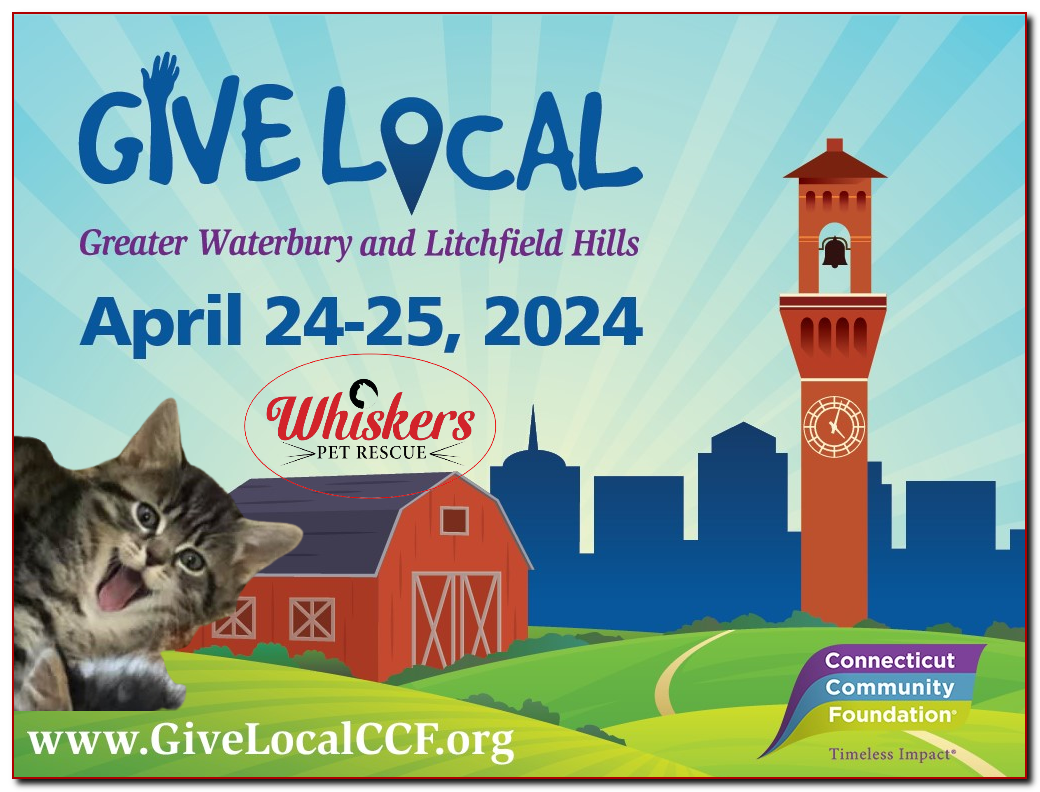 GIVE LOCAL