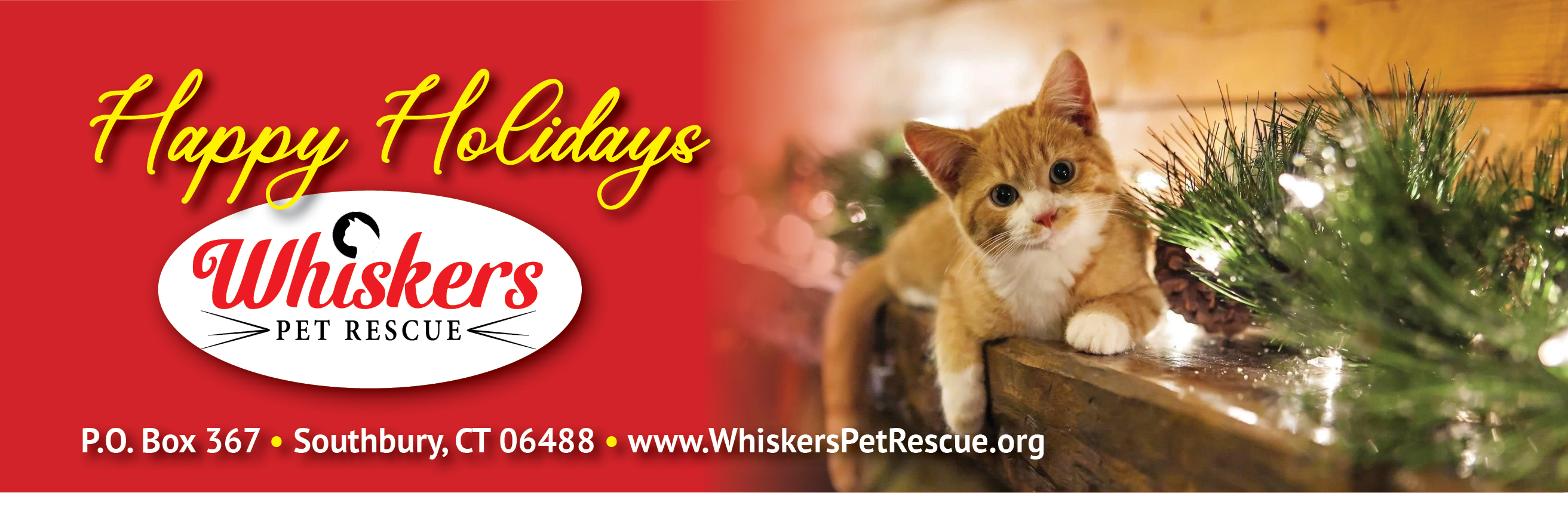 Happy Holidays from Whiskers!