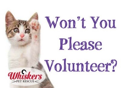 Volunteers Needed!