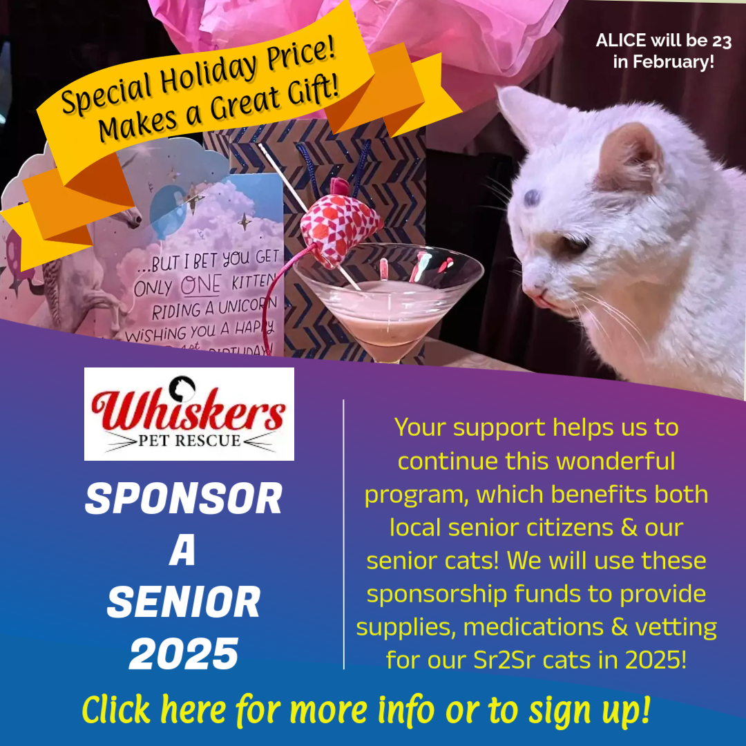 Sponsor-A-Senior