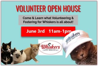 Volunteers Needed!