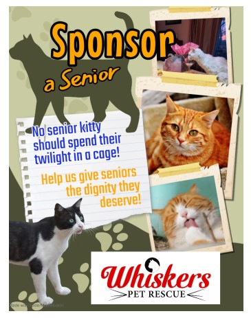 WELCOME | Whiskers Pet Rescue