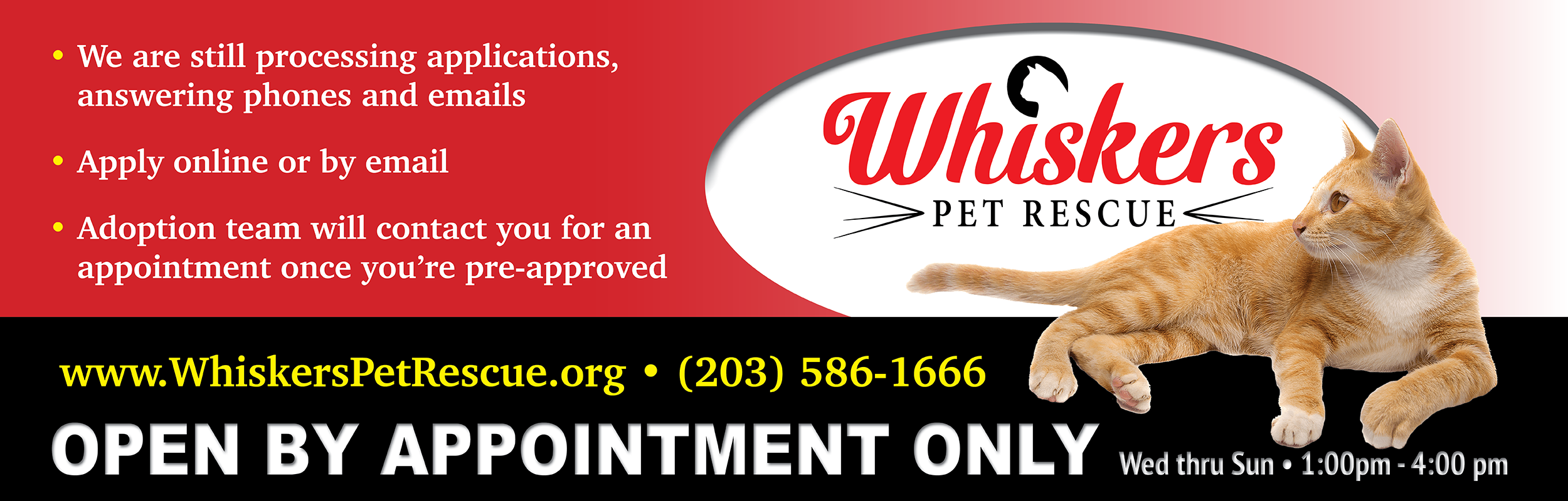 Cat Adoption Application Whiskers Pet Rescue