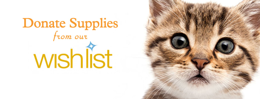 Wish List Whiskers Pet Rescue