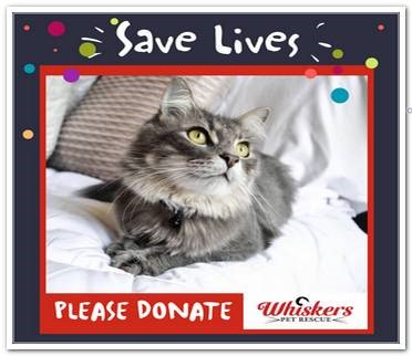 Please Donate Now! Help save a life!
