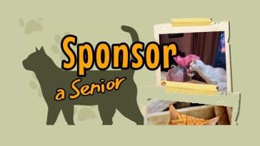 sponsor a senior!