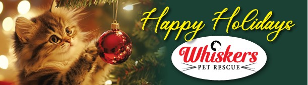 Happy Holidays from Whiskers!