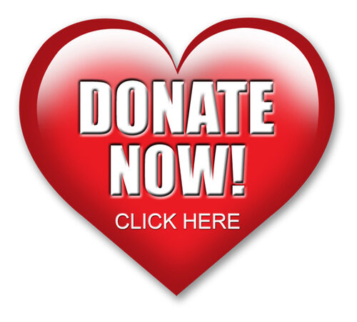 Please Donate!