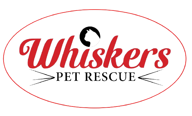 WELCOME | Whiskers Pet Rescue