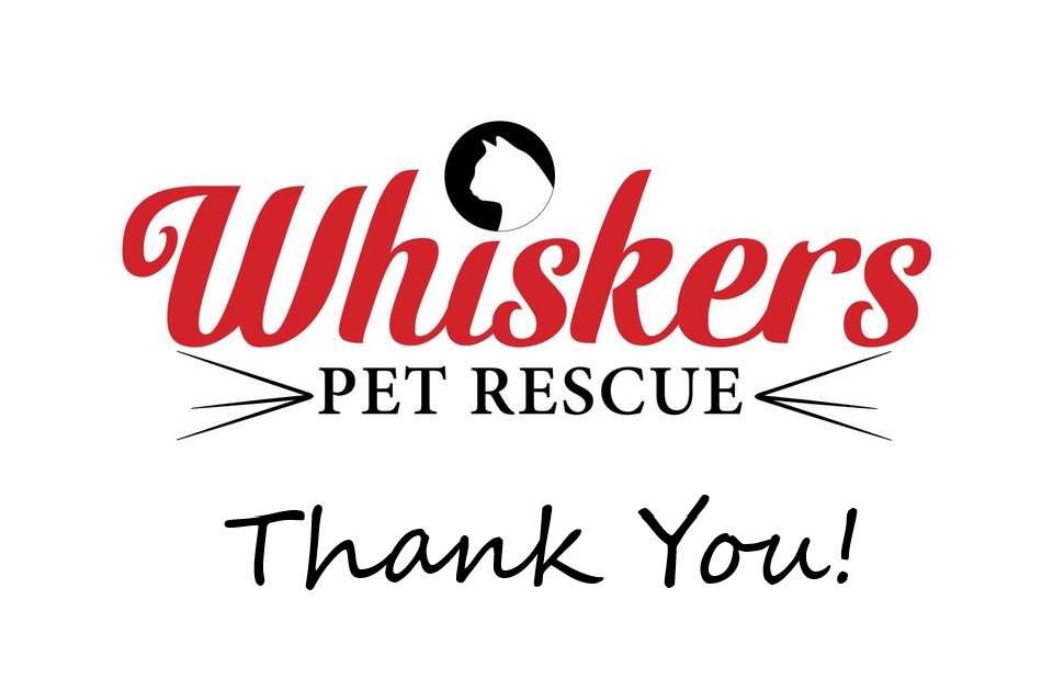 Thank you!
