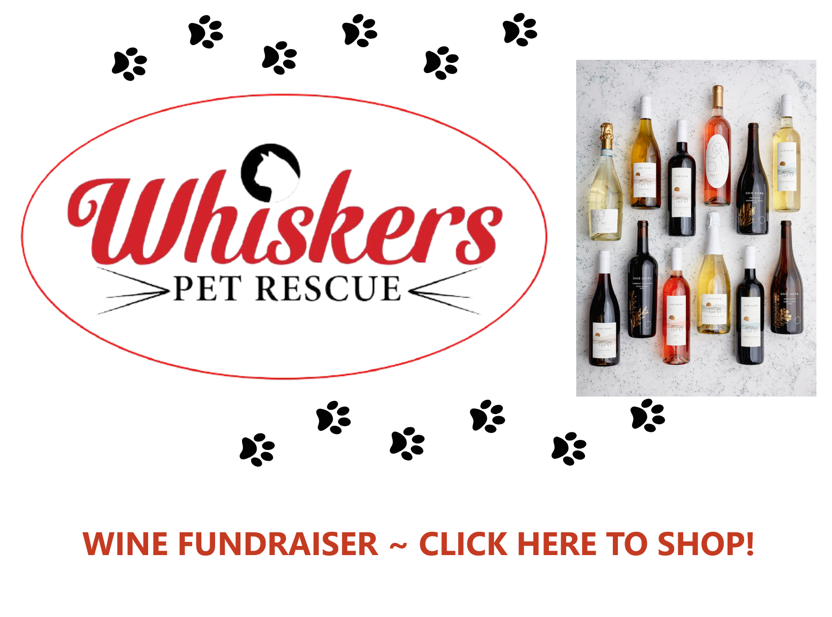 wine fundraiser